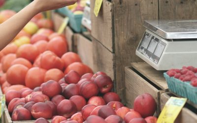 Perbedaan Kualitas antara Kertas dengan Plastik